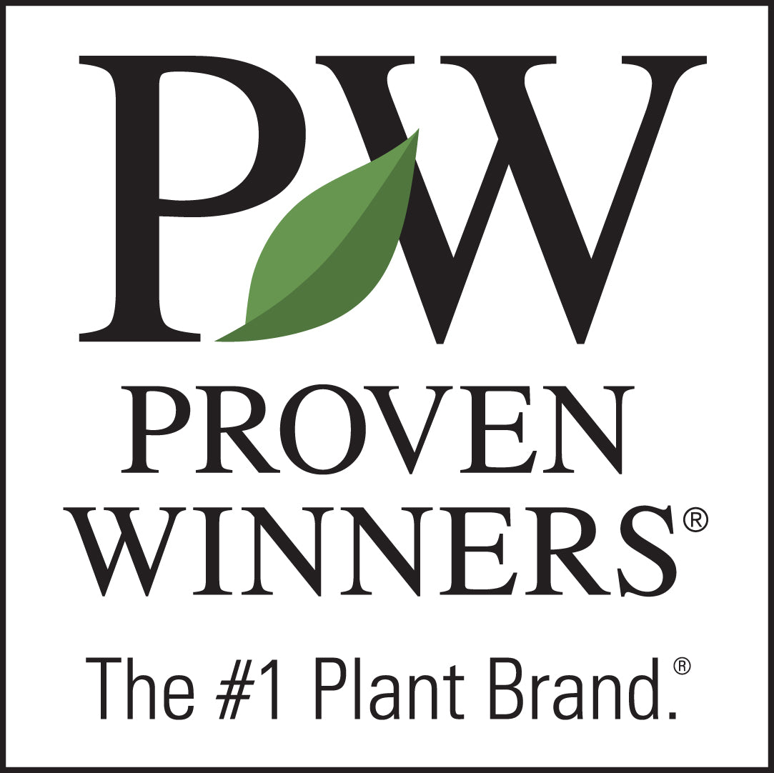 Proven Winner Perennials