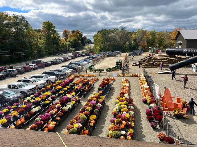 Fall Fest Tickets